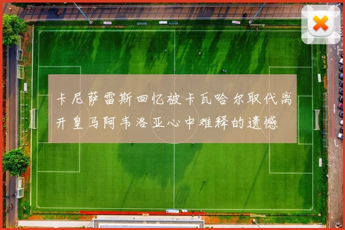 卡尼萨雷斯回忆被卡瓦哈尔取代离开皇马阿韦洛亚心中难释的遗憾