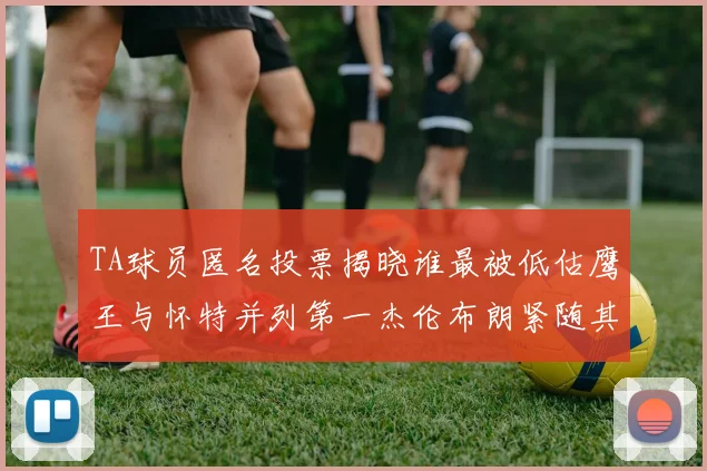 TA球员匿名投票揭晓谁最被低估鹰王与怀特并列第一杰伦布朗紧随其后