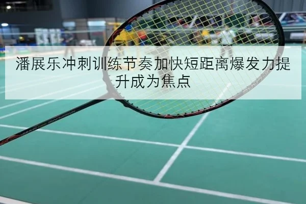潘展乐冲刺训练节奏加快短距离爆发力提升成为焦点